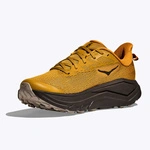 HOKA Challenger 8 чоловічі кросівки для трейлового бігу Mustard Seed / Black