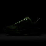 Nike Pegasus Premium x Melitta Baumeister (Women's) IQ7336-700