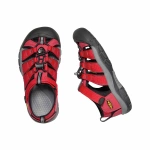 KEEN NEWPORT H2 JUNIOR RIBBON RED/GARGOYLE