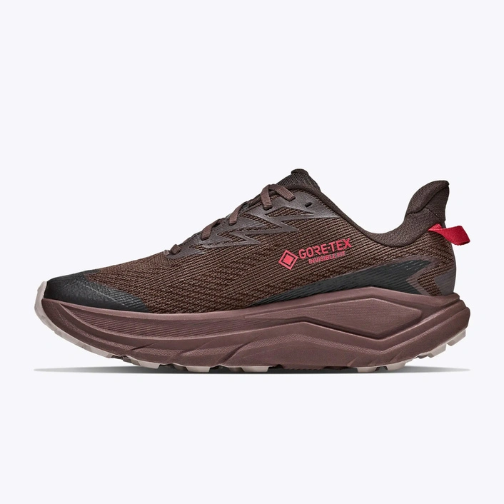 HOKA Challenger 8 GORE-TEX чоловічі кросівки для трейлраннінгу Spiced Chocolate/Cast Iron
