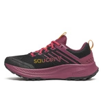 Saucony WMNS Ride TR2 S10951-247
