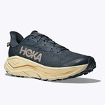 HOKA Challenger 8 чоловічі кросівки для трейлового бігу Faded Navy / Pampass Grass
