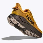 HOKA Challenger 8 чоловічі кросівки для трейлового бігу Mustard Seed / Black