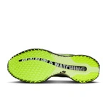 Nike Pegasus Premium x Melitta Baumeister (Women's) IQ7336-700