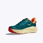 HOKA Challenger 8 жіночі кросівки для трейлраннінгу Tidal Wave/Pampas Grass