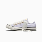 Converse Chuck Taylor All Star Lace Low Top A18309C