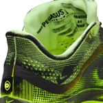 Nike Pegasus Premium x Melitta Baumeister (Women's) IQ7336-700