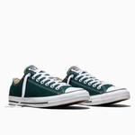 Converse Chuck Taylor All Star Canvas A18101C