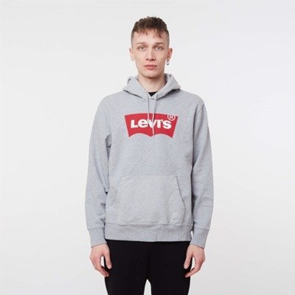 Levi's Graphic Po Hoodie Grey